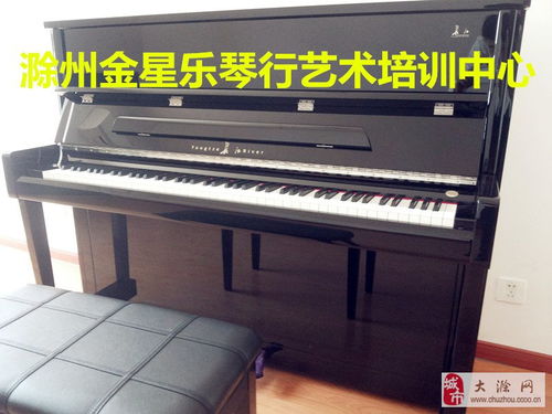 滁州音乐培训,滁州钢琴培训,滁州学古筝,滁州学钢琴